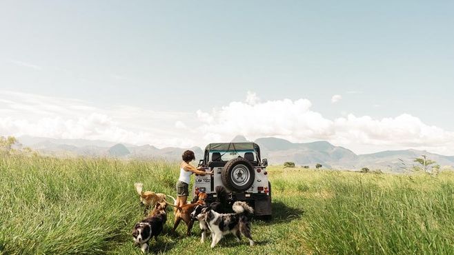 EXCLUSIVO: Petz muda ‘mindset’ de marketing bebendo na fonte da Zee.Dog