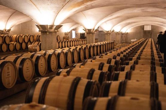 Vinhos: um ícone da Borgonha que não conhece ‘bear market’