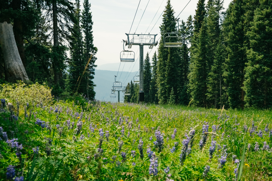 O melhor do verão gringo está nas estações de ski — sério!