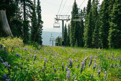 O melhor do verão gringo está nas estações de ski — sério!