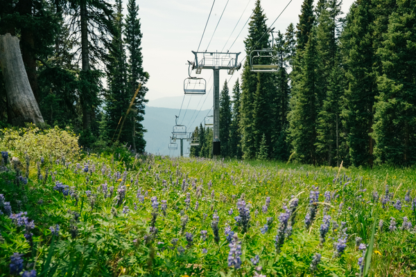 O melhor do verão gringo está nas estações de ski — sério!
