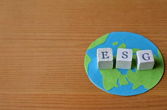 O G do ESG:  friendly reminders