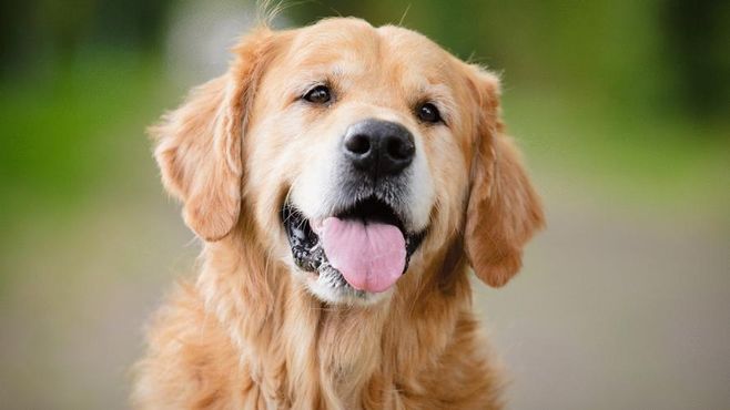 Petz: Warburg Pincus zera posição