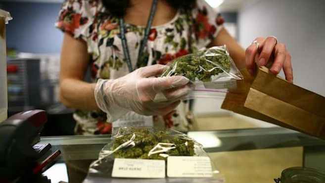 EXCLUSIVO: Profissão: 'analista de maconha'