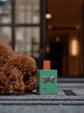 O hotel virou shopping  (dos bons)