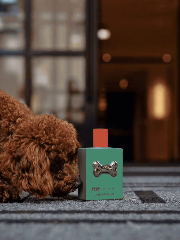 O hotel virou shopping  (dos bons)