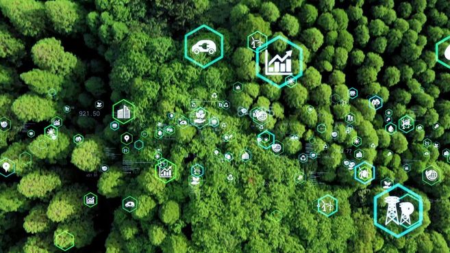 Simpar: nossa agenda de sustentabilidade e geração de valor