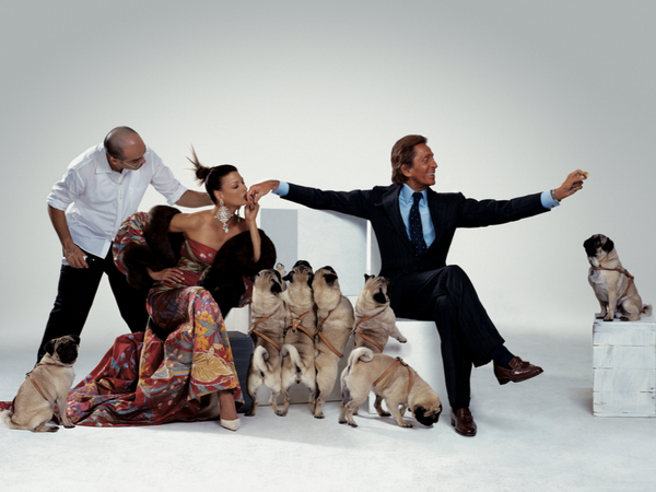 Os pets da moda