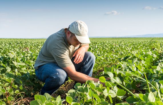 Com desafios no curto prazo, agricultor brasileiro investe no aumento da produtividade
