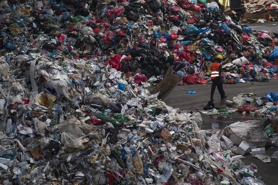 Latinha, garrafa pet, papel: eureciclo levanta R$ 100 milhões para escalar seus ‘créditos de reciclagem’