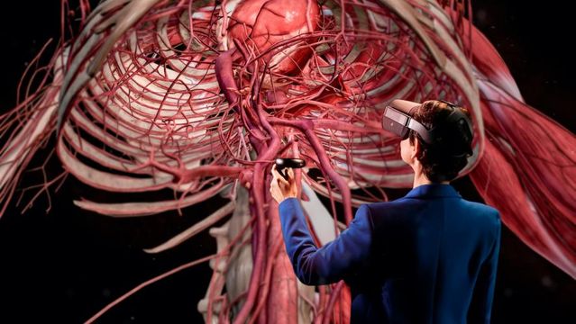 Ânima compra MedRoom — e sua fantástica viagem pelo corpo humano