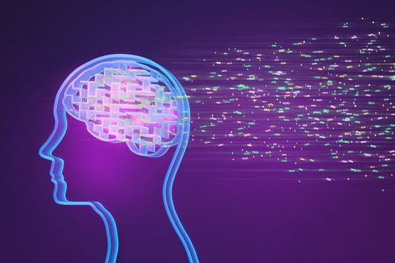 A visão radical de AI do fundador da VTEX