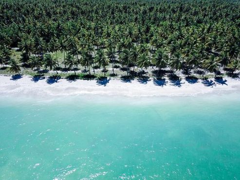 Nas operadoras de turismo, terra arrasada (e um imposto de 25%)