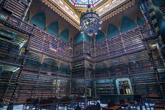 Por que devemos ler – e o que ler?  Este livro traz respostas