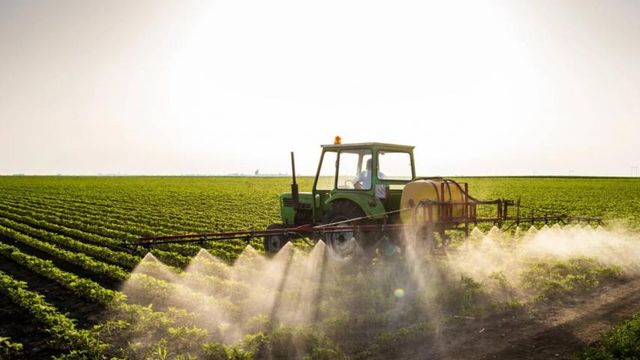 Mercado de fertilizantes em incerteza máxima