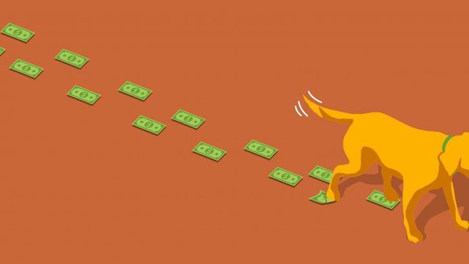 R$ 100 mil por post. Como os pets estão ficando milionários no Instagram