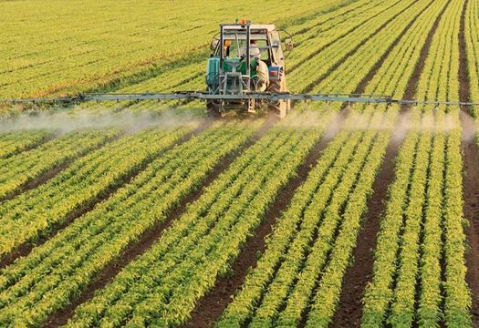 SLC compra Terra Santa e aumenta área de plantio em 30%