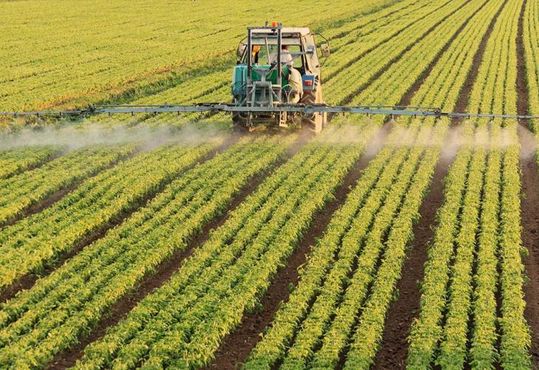 SLC compra Terra Santa e aumenta área de plantio em 30%