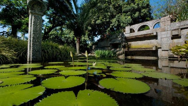 No Sítio Burle Marx, um patrimônio mundial homenageia a passagem do tempo