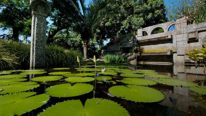 No Sítio Burle Marx, um patrimônio mundial homenageia a passagem do tempo