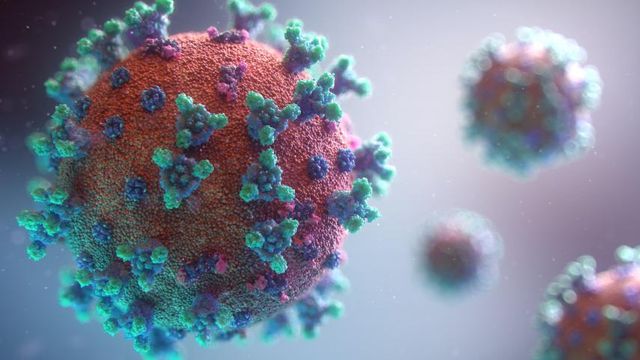 CDC: Variante delta é uma das mais contagiosas da História