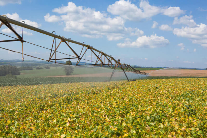 Crédito e clima ameaçam o agronegócio, diz EY
