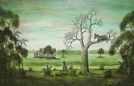 Hélio Melo: do seringal à Bienal
