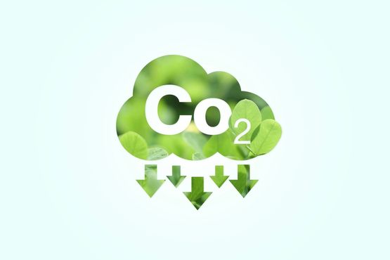 Ambipar vai negociar tokens de créditos de carbono na Bolsa