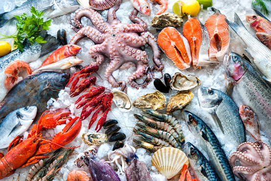 Frescatto + Prime: o M&A do salmão com a lagosta