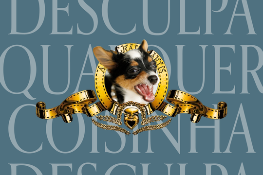 A chihuahua Maria e o complexo de inferioridade de Portugal