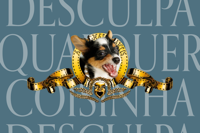 A chihuahua Maria e o complexo de inferioridade de Portugal
