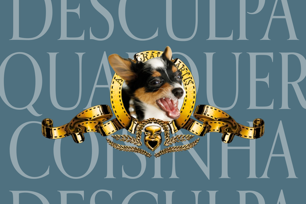 A chihuahua Maria e o complexo de inferioridade de Portugal