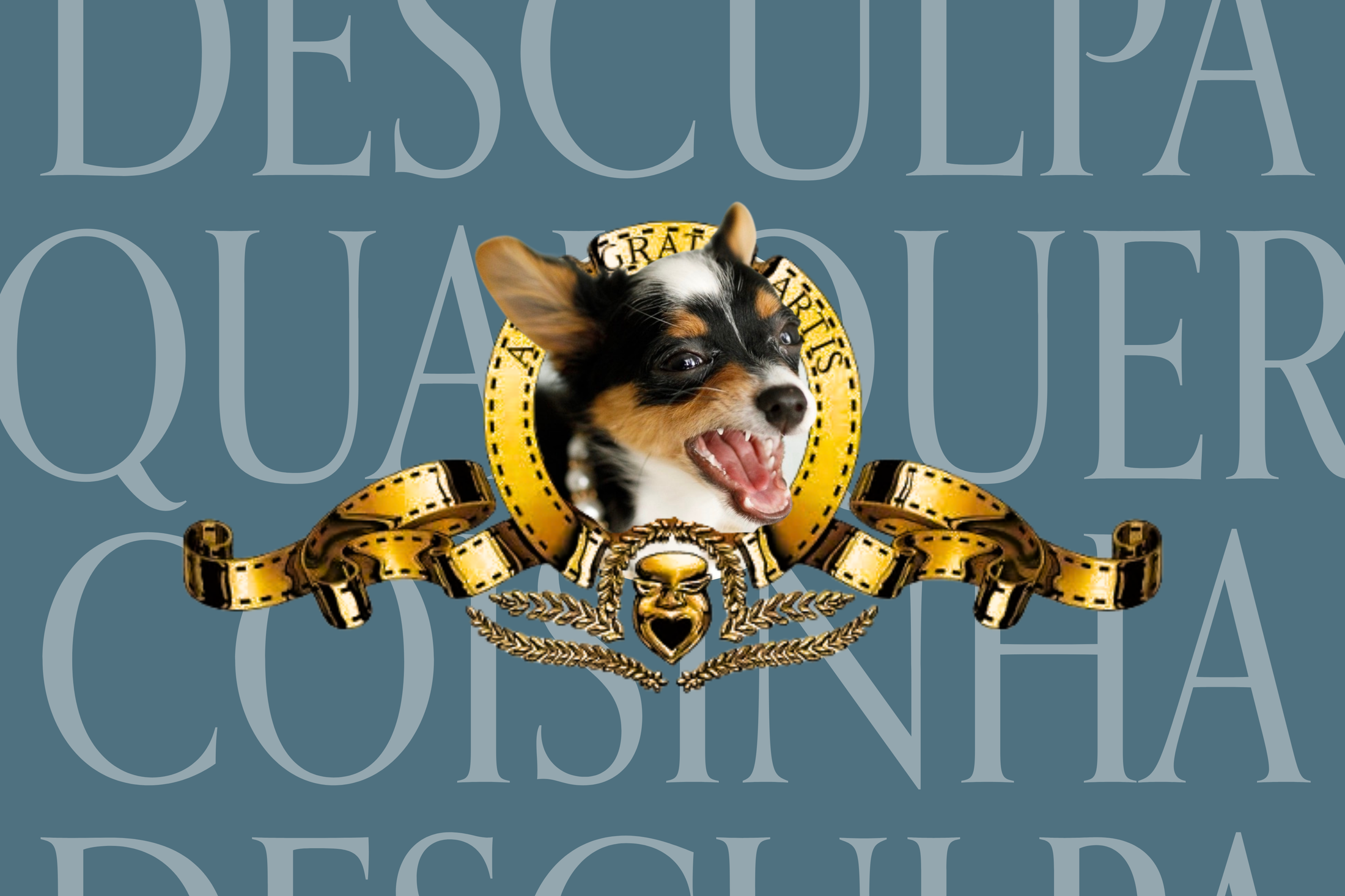 A chihuahua Maria e o complexo de inferioridade de Portugal