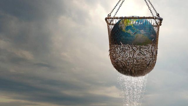 Seaspiracy, o documentário que vai mudar sua relação com o sushi