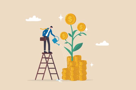Alternativa à reserva de emergência em dólar: conheça os Money Market Funds
