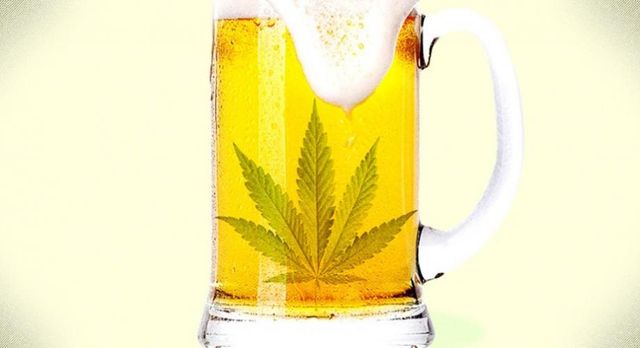 Cervejarias e maconha: em breve no mesmo balanço