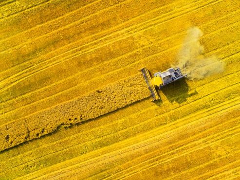 Por que este especialista em mercados emergentes está comprando commodities