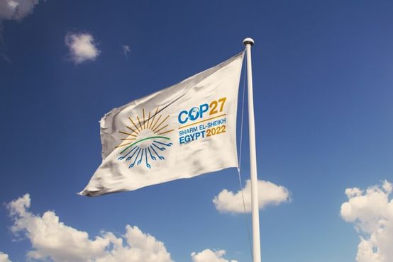 OPINIÃO: A COP 27 e 'o arquivo da vergonha'