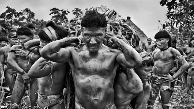 Harvard dá diploma honorário a Sebastião Salgado