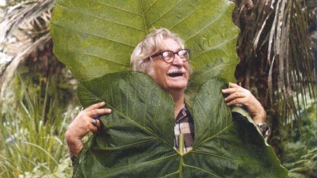 Burle Marx no Bronx: uma homenagem à exuberância