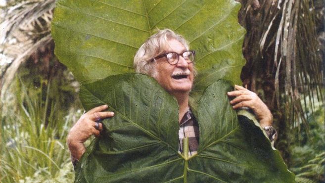 Burle Marx no Bronx: uma homenagem à exuberância