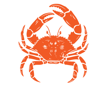 Está aberta a temporada do stone crab em Miami