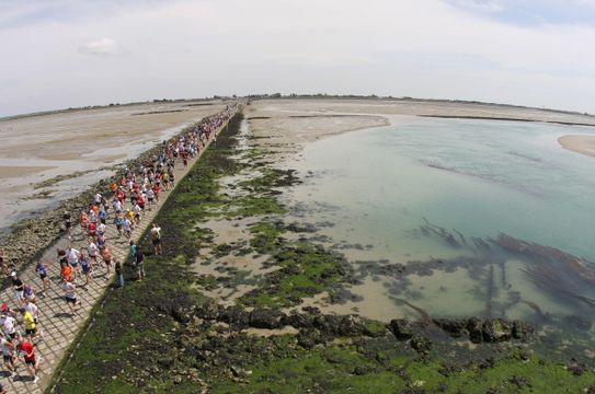 Foulées du Gois: a corrida épica sobre as águas