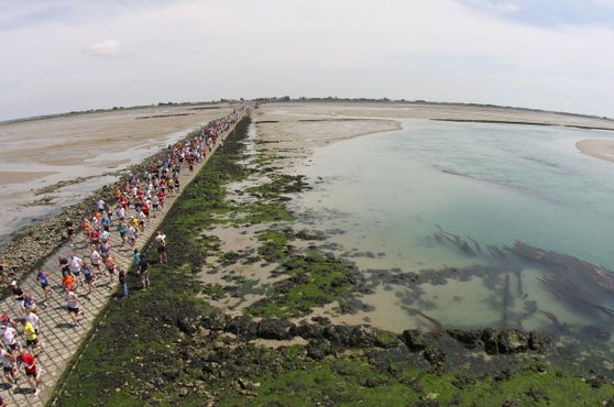 Foulées du Gois: a corrida épica sobre as águas