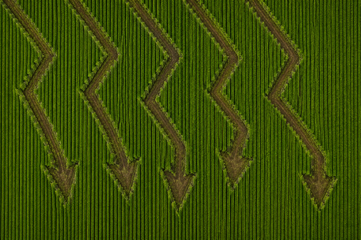 O preço da terra está barato demais pra ignorar, dizem estes gestores