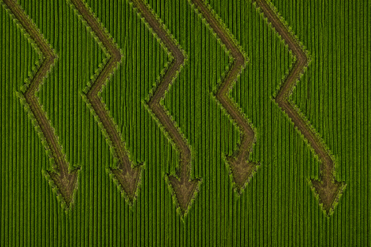 O preço da terra está barato demais pra ignorar, dizem estes gestores