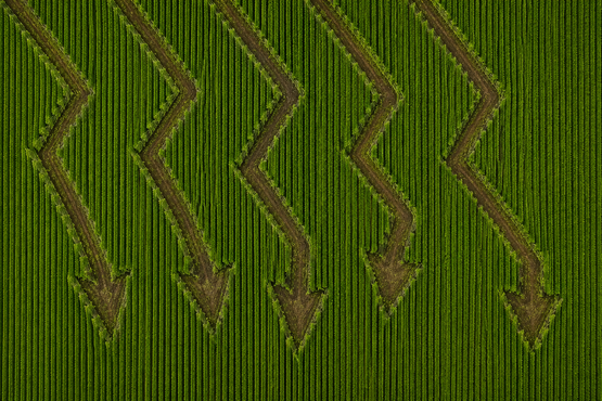O preço da terra está barato demais pra ignorar, dizem estes gestores
