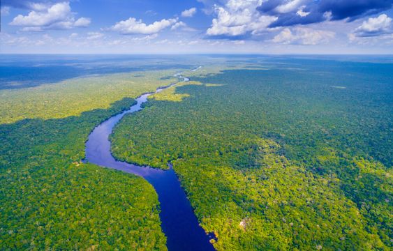 Future Carbon quer ser o 'one-stop shop' do carbono