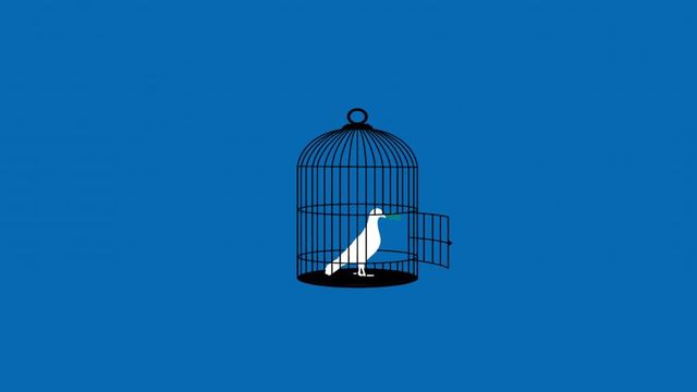 A causa da educação é a causa da liberdade