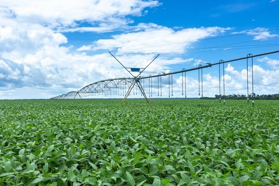 Agricultura irrigada “é como jogar na Champions League” – e o Brasil está avançando